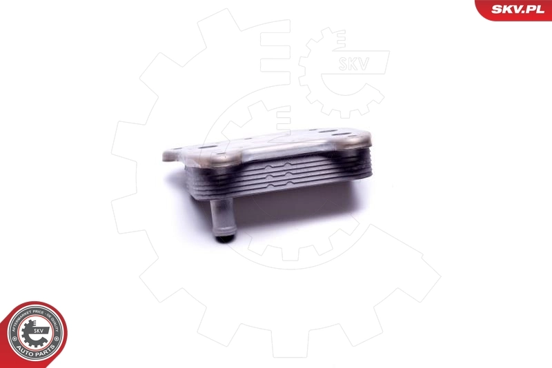 Oil Cooler, engine oil 31SKV216
