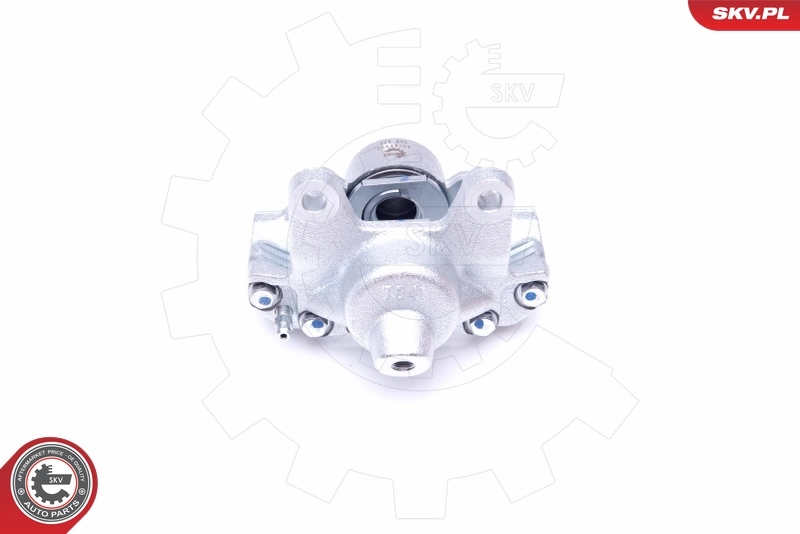 Brake Caliper 45SKV493