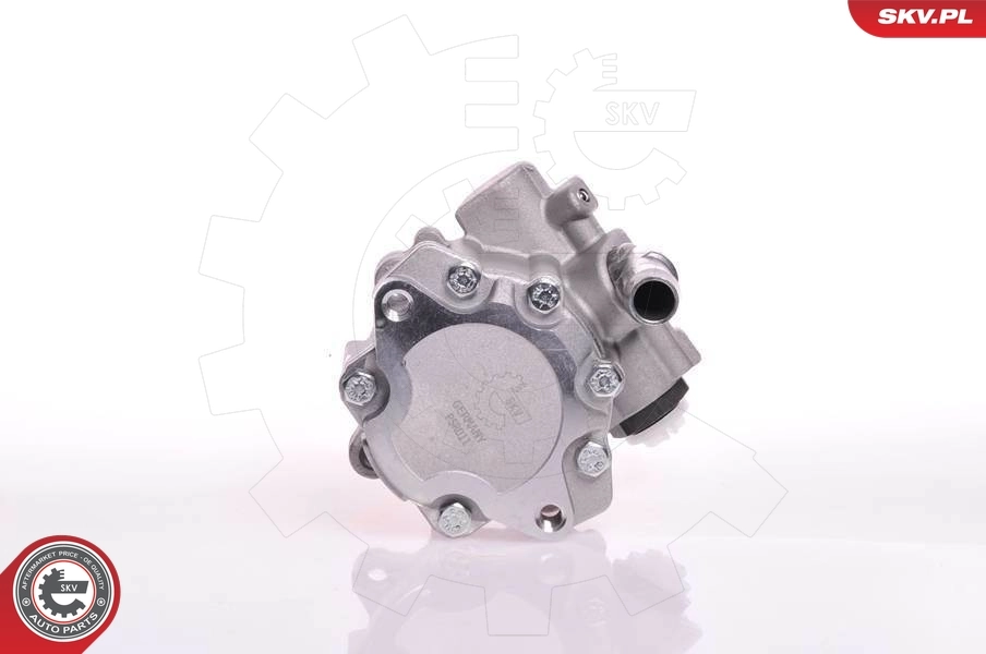 Hydraulic Pump, steering 10SKV166