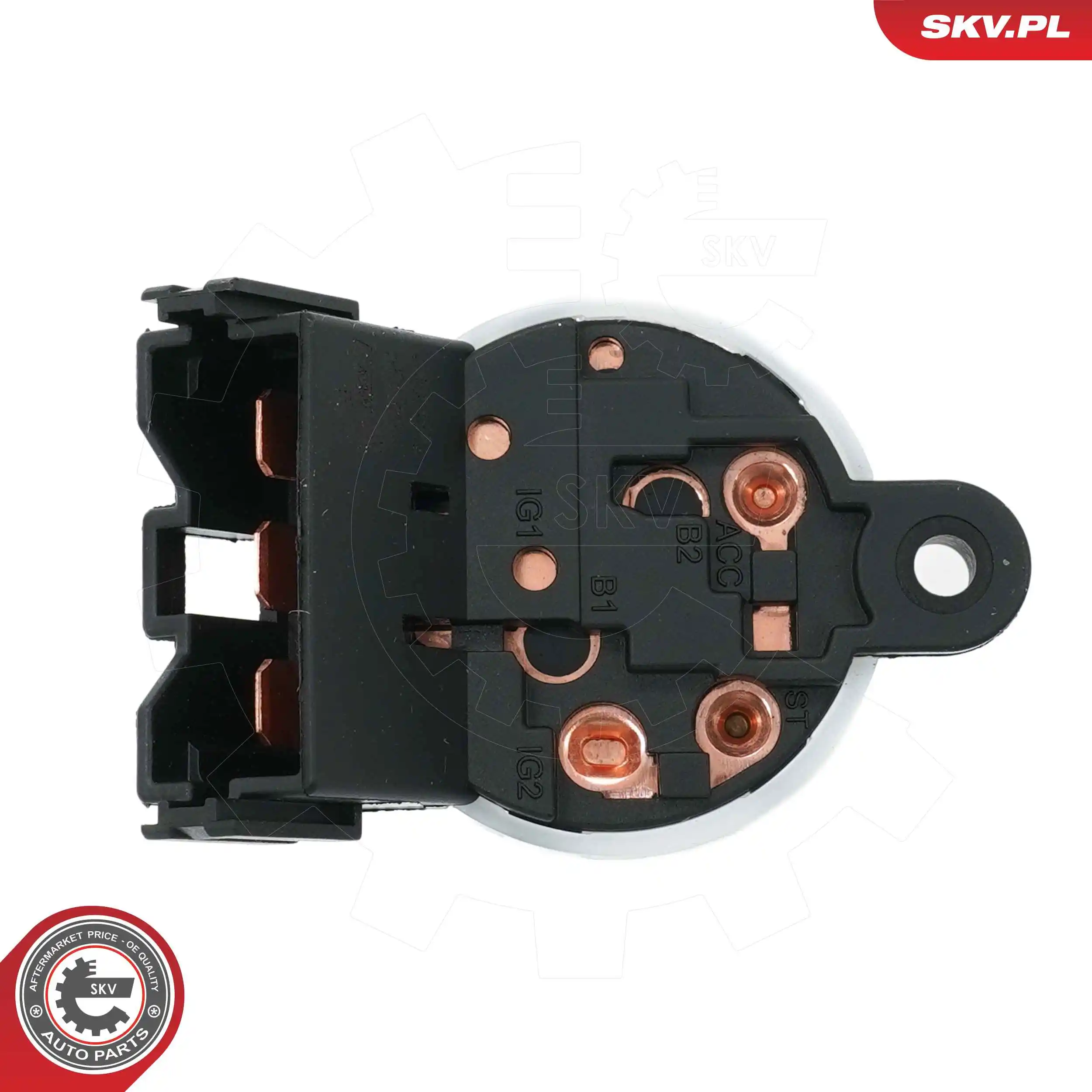 Ignition Switch 65SKV009