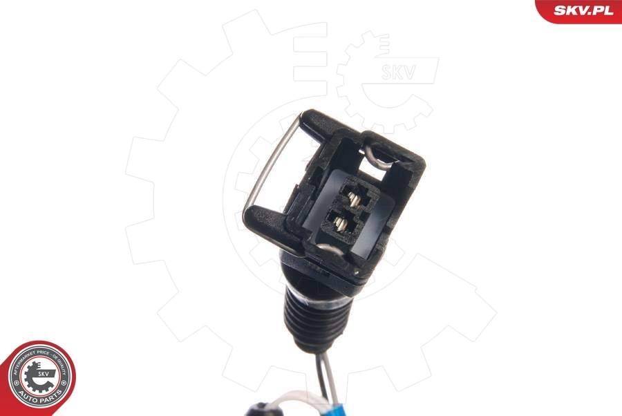 Oxygen Sensor 09SKV022