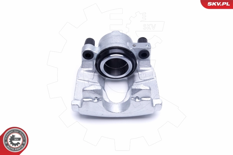 Brake Caliper 50SKV302