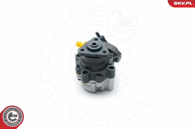 Hydraulic Pump, steering 10SKV191