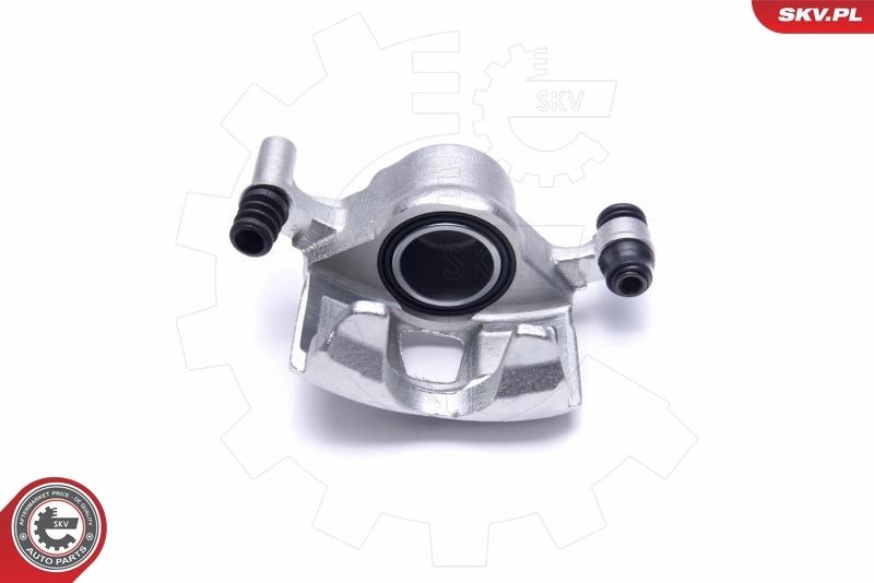 Brake Caliper 50SKV801
