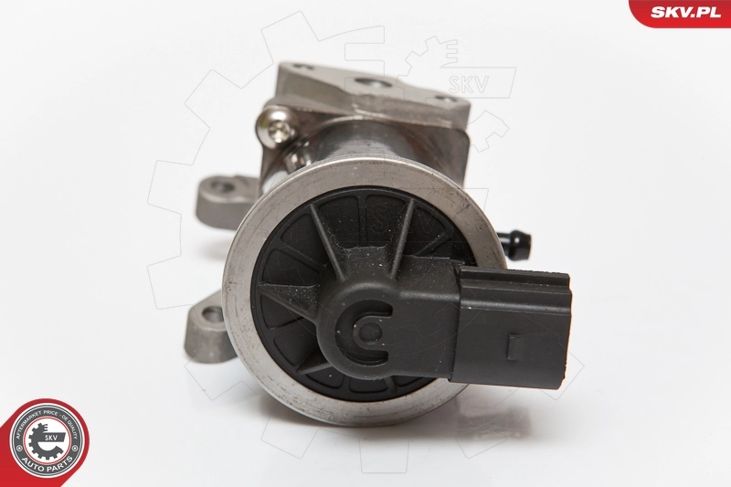 EGR Valve 14SKV074