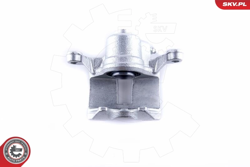 Brake Caliper 50SKV843