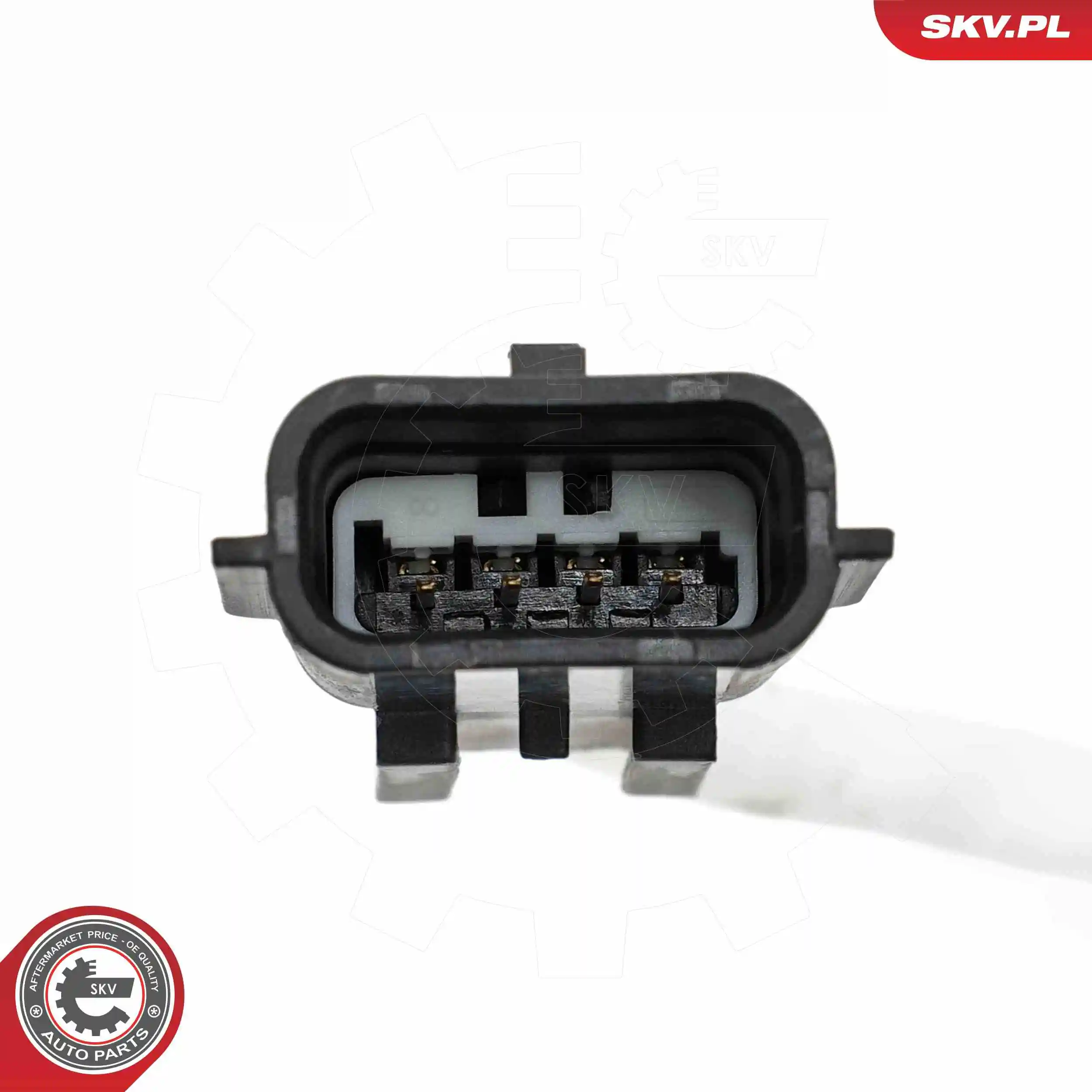 Oxygen Sensor 09SKV173