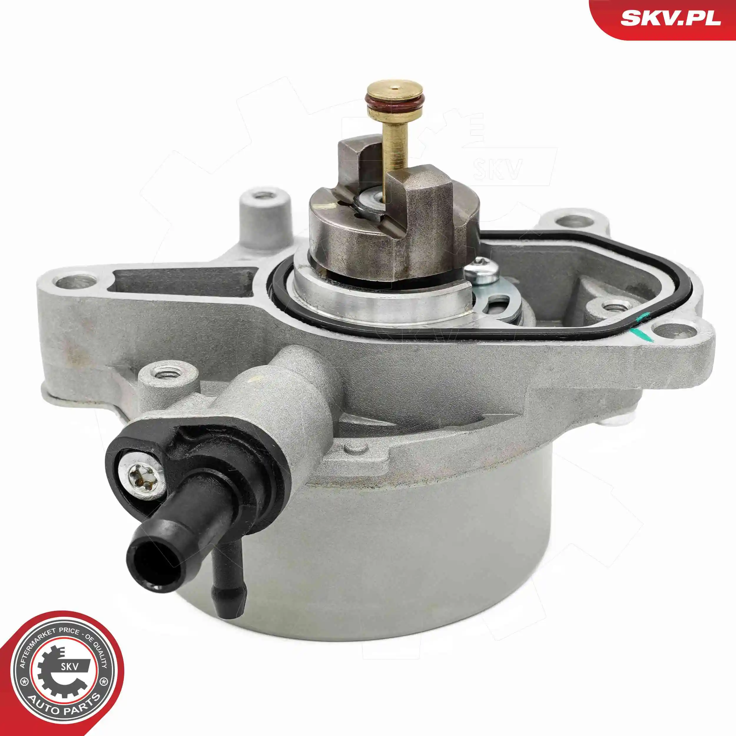 Vacuum Pump, braking system 18SKV079