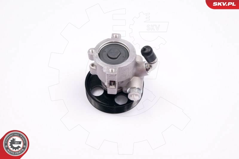 Hydraulic Pump, steering 10SKV174