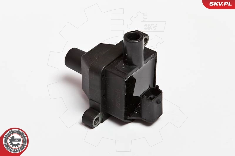 Ignition Coil 03SKV016