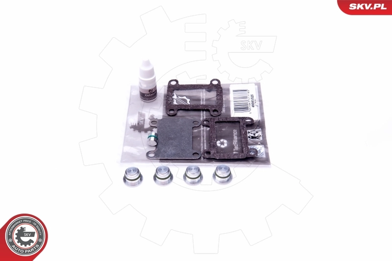 Repair Kit, intake manifold module 49SKV525