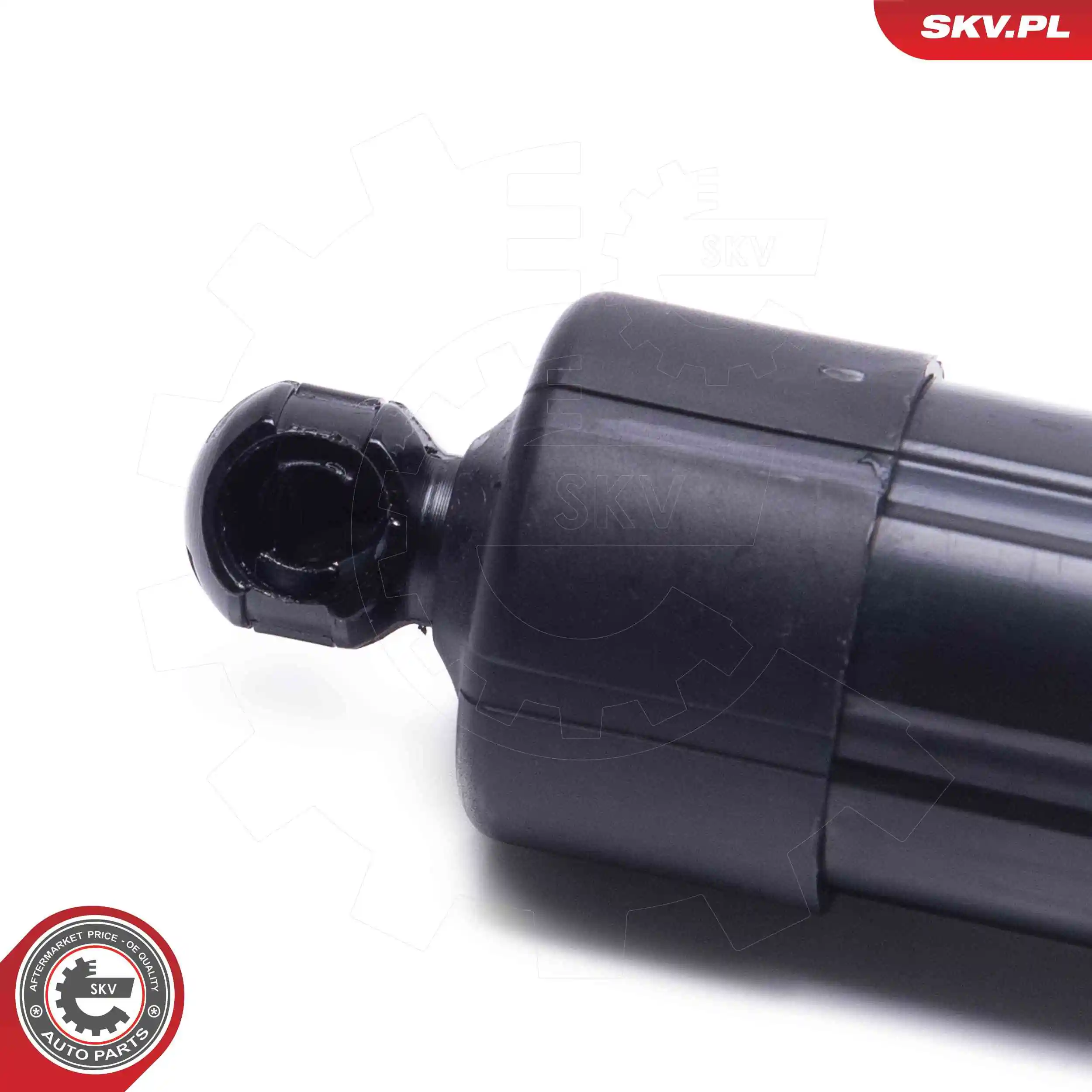 ESEN SKV 52SKV961 Electric Motor, tailgate