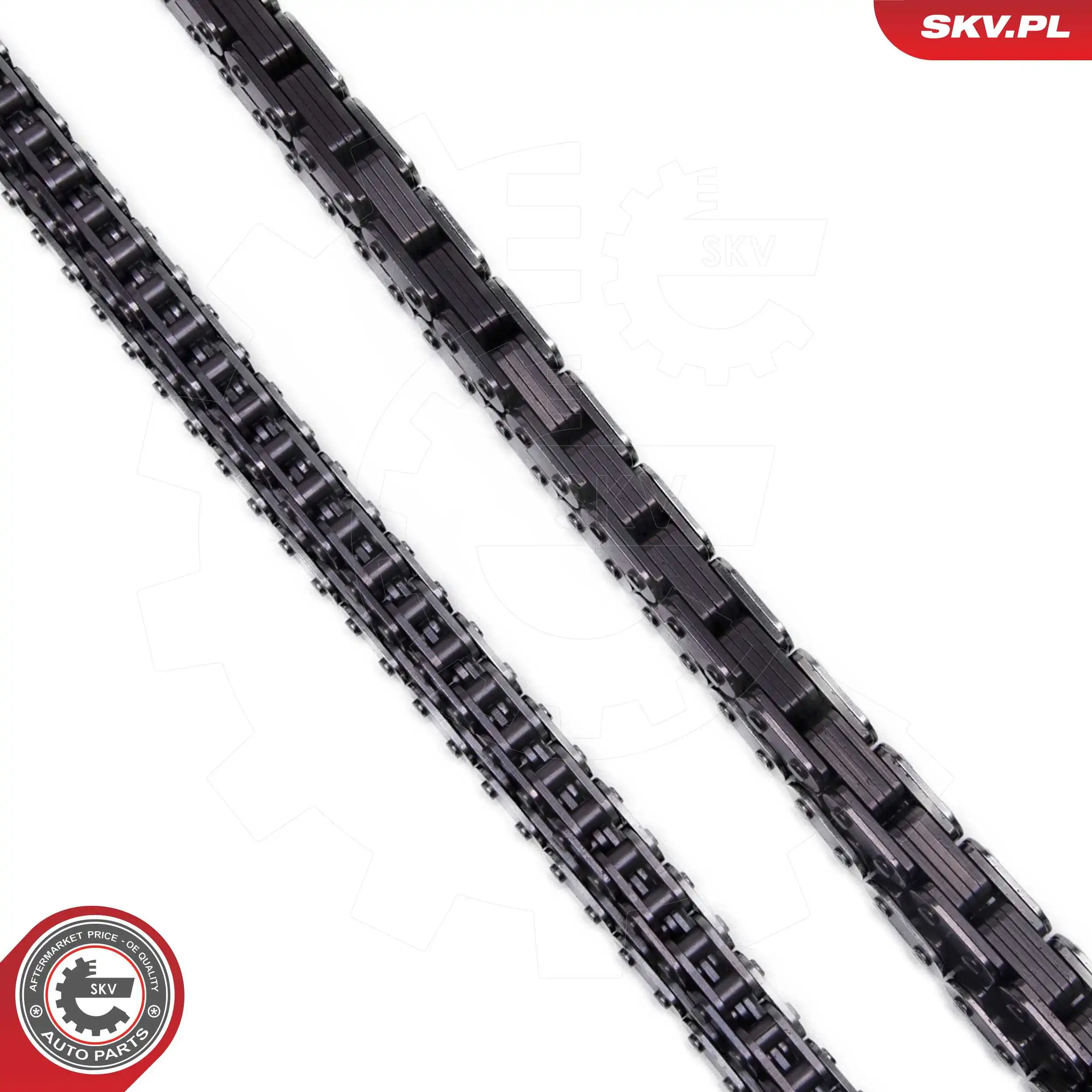 Timing Chain Kit 21SKV268