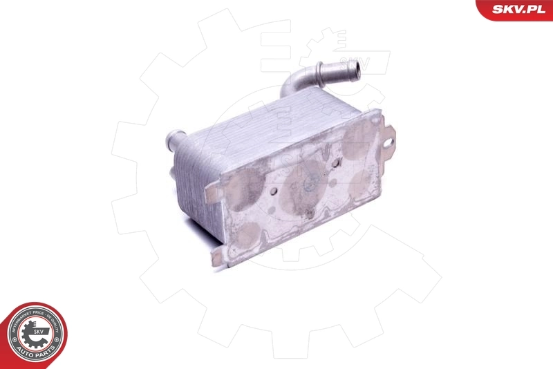 Oil Cooler, engine oil 31SKV228