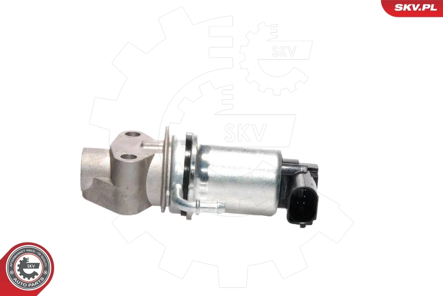 EGR Valve 14SKV018