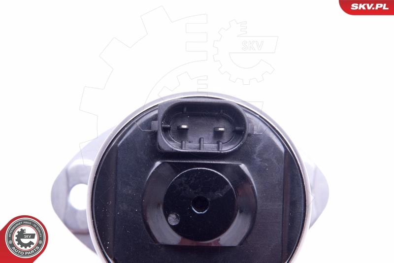 Actuator, exentric shaft (variable valve lift) 96SKV089