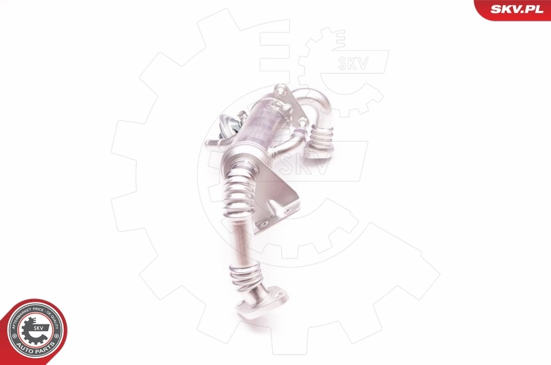 EGR Valve 14SKV122
