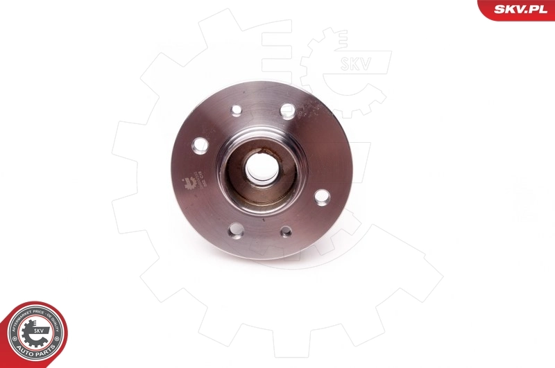 Wheel Bearing Kit 29SKV102