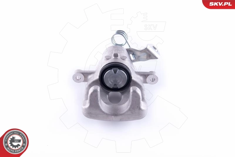 Brake Caliper 55SKV193
