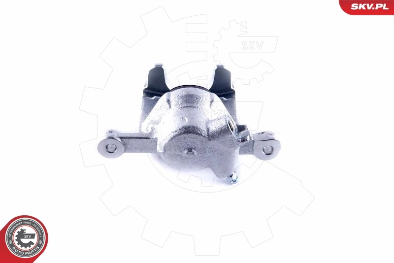 Brake Caliper 55SKV284