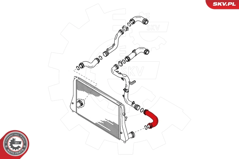Charge Air Hose 24SKV072