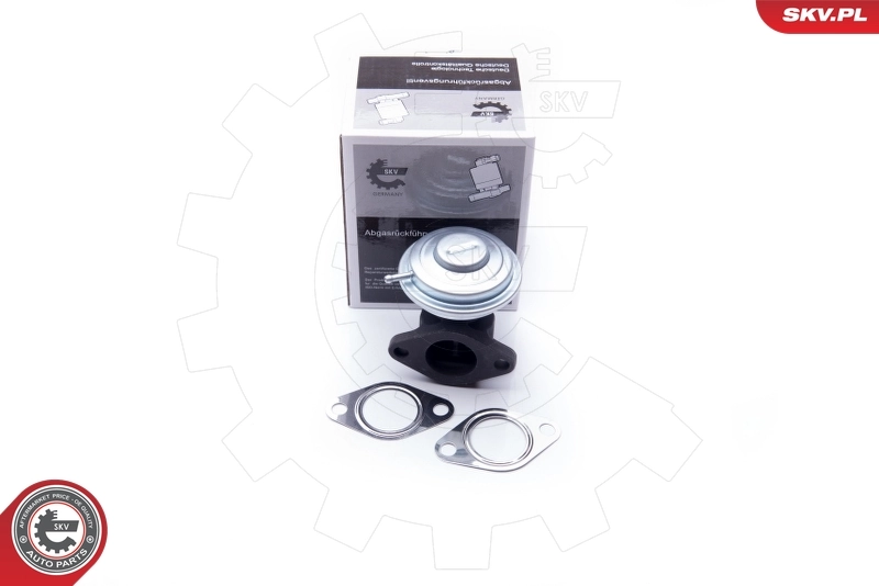 EGR Valve 14SKV183