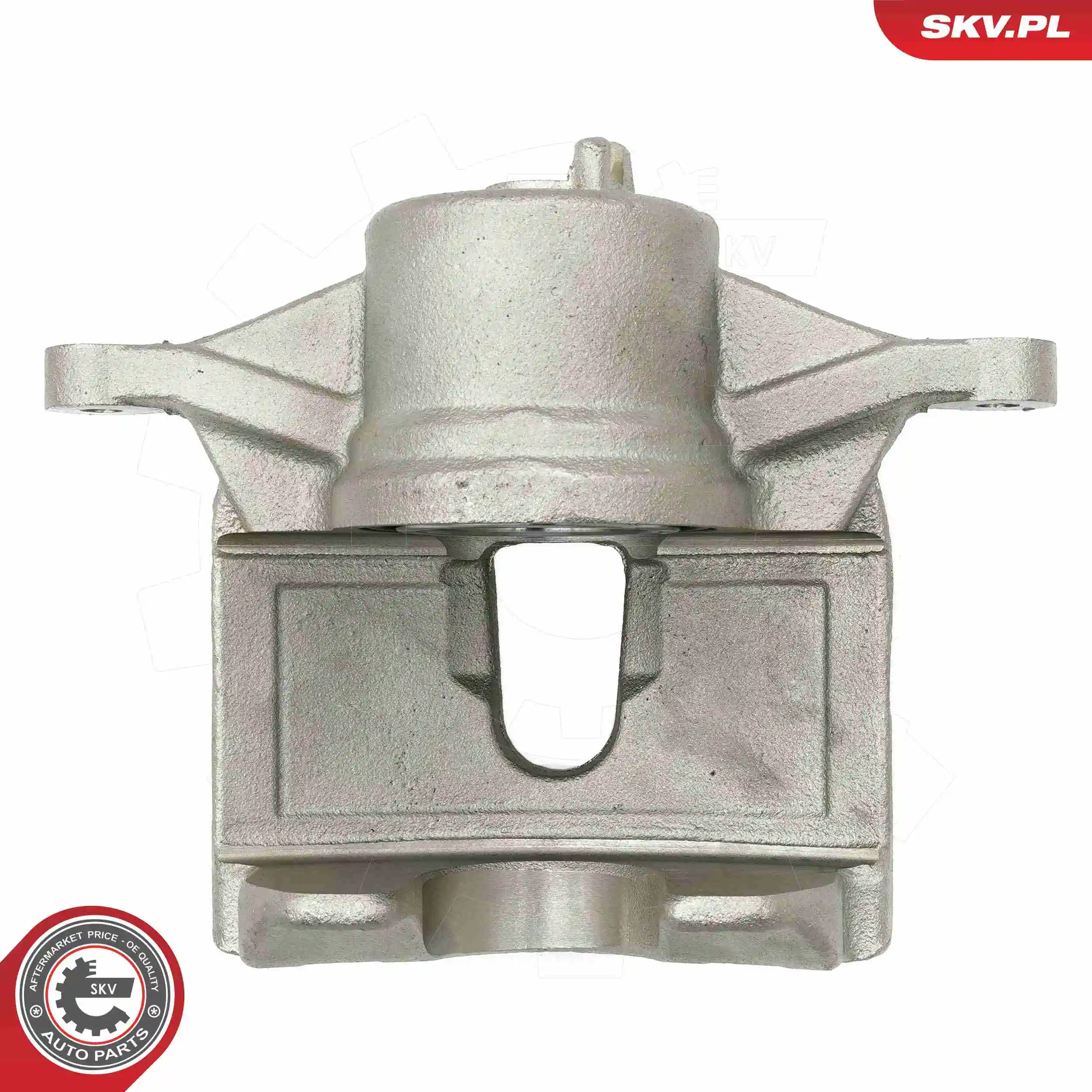 Brake Caliper 67SKV031
