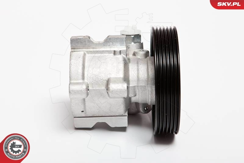 Hydraulic Pump, steering 10SKV062