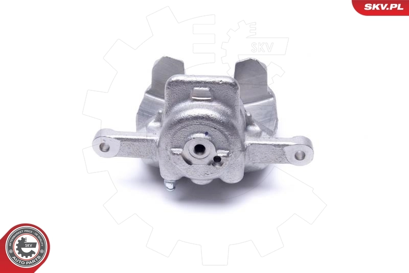 Brake Caliper 55SKV942