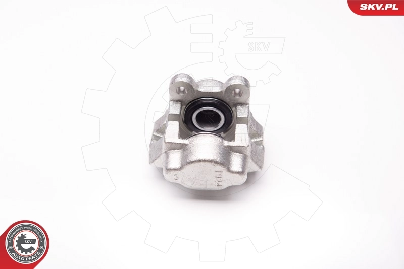 Brake Caliper 34SKV181