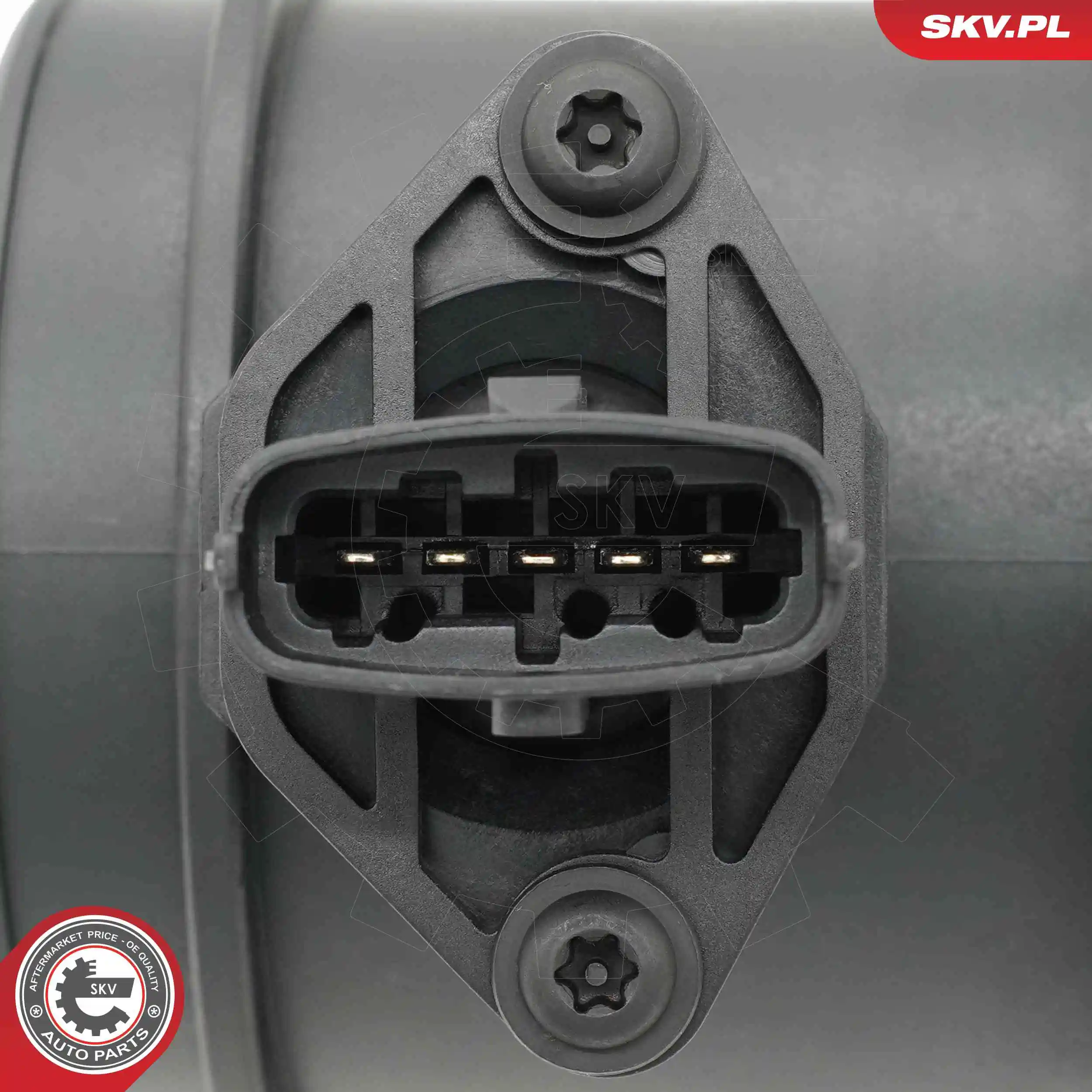 Mass Air Flow Sensor 07SKV316