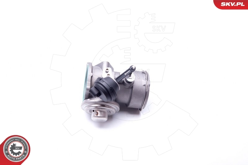 EGR Valve 14SKV093