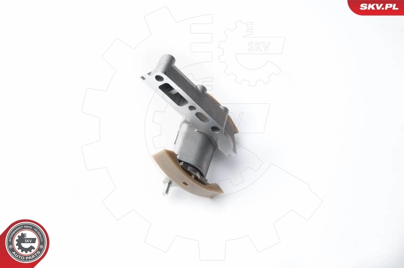 Timing Chain Kit 21SKV010