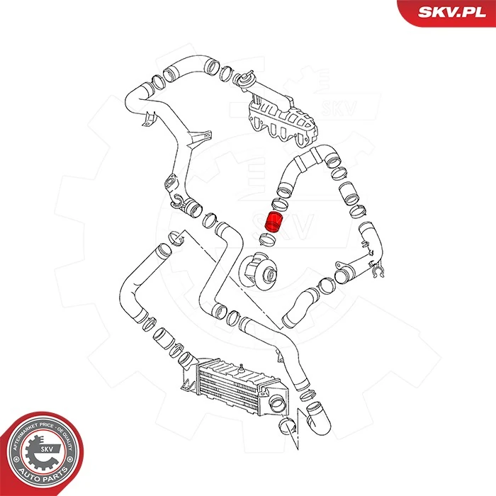 Charge Air Hose 43SKV452