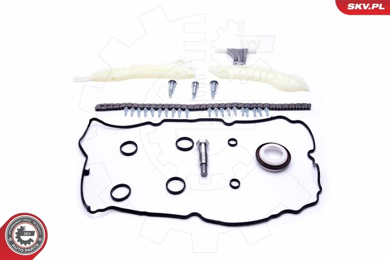Timing Chain Kit 21SKV118