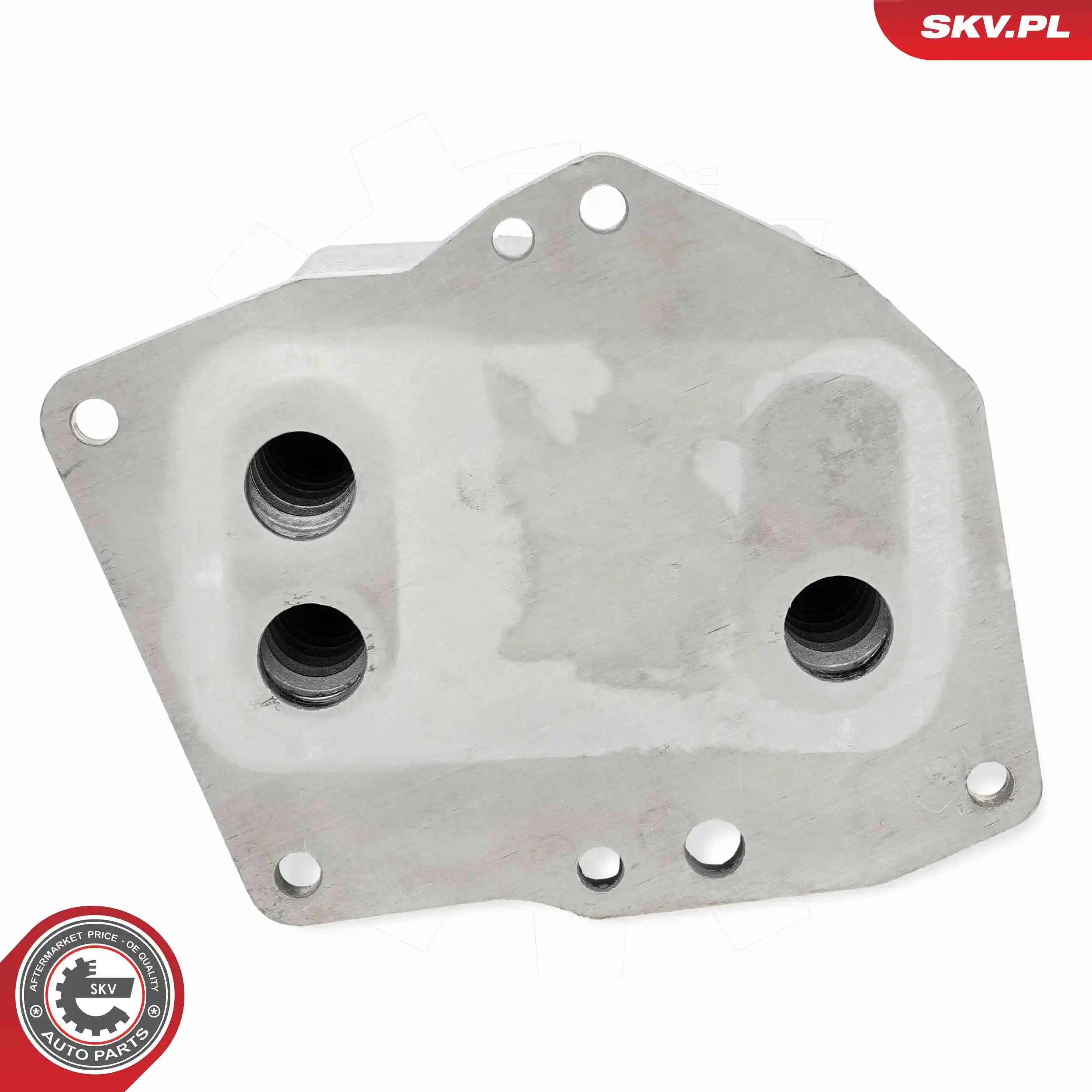 Oil Cooler, engine oil 31SKV348