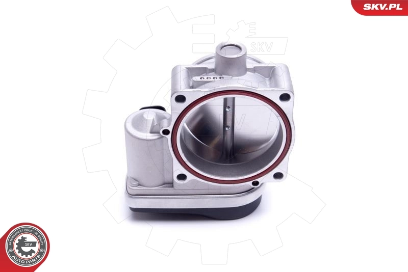 Throttle Body 12SKV121