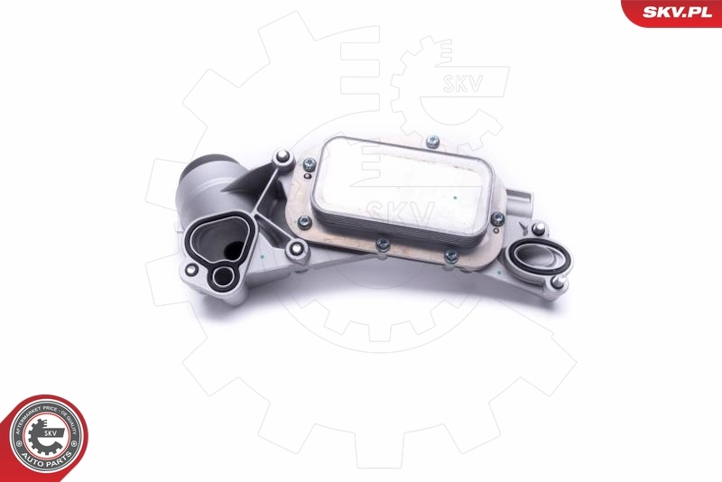 Oil Cooler, engine oil 31SKV177