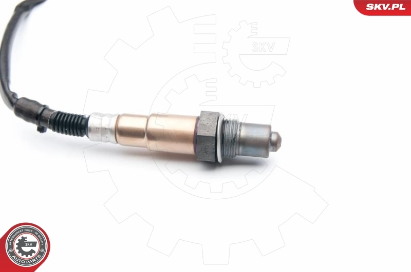 Oxygen Sensor 09SKV713