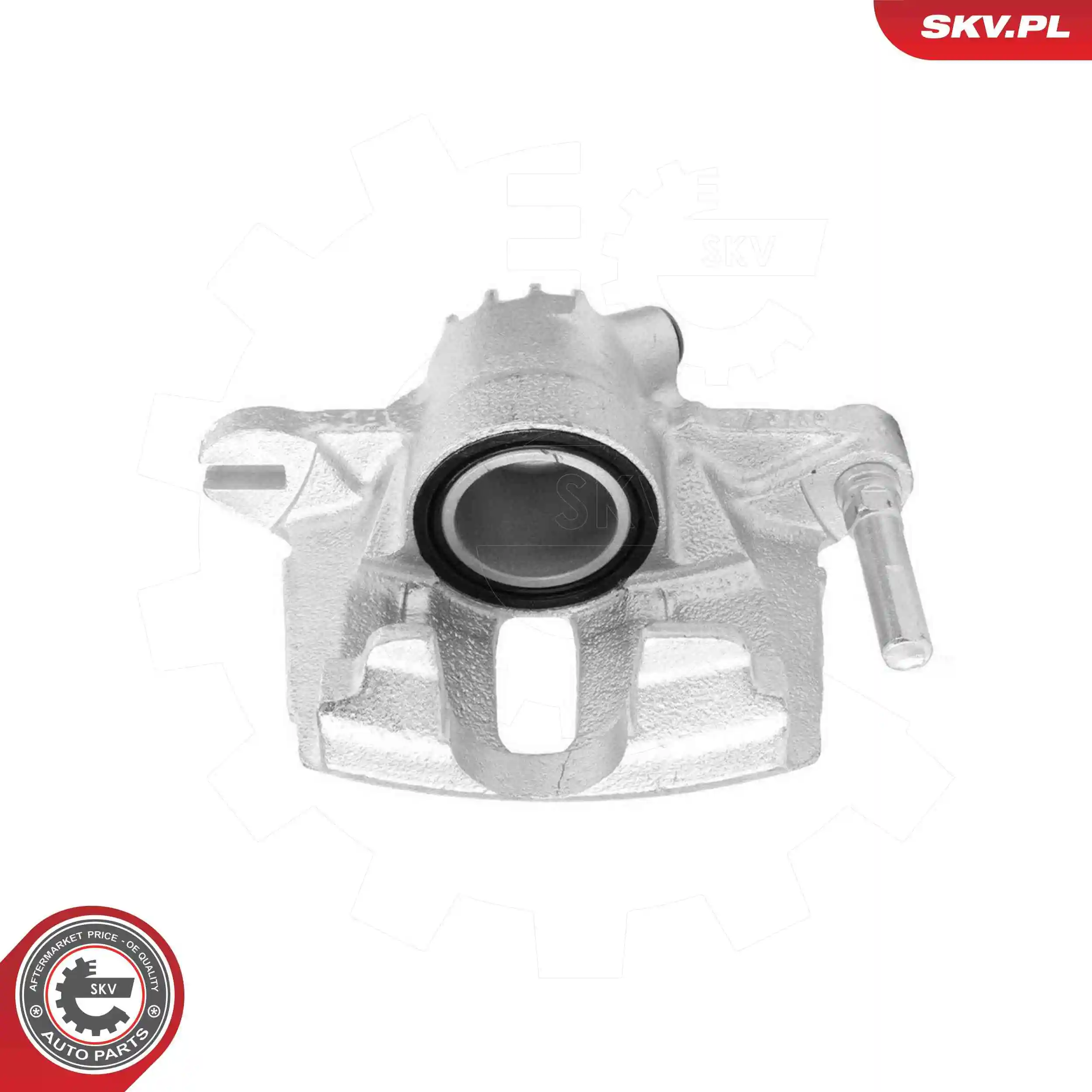 Brake Caliper 79SKV492