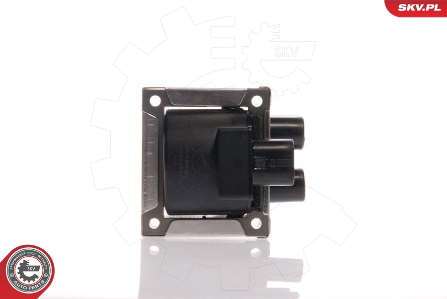 Ignition Coil 03SKV003