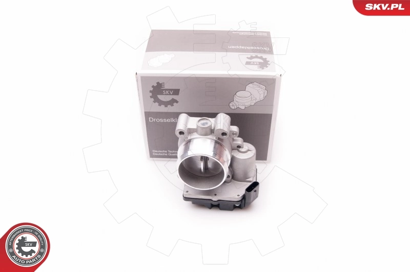 Throttle Body 12SKV060