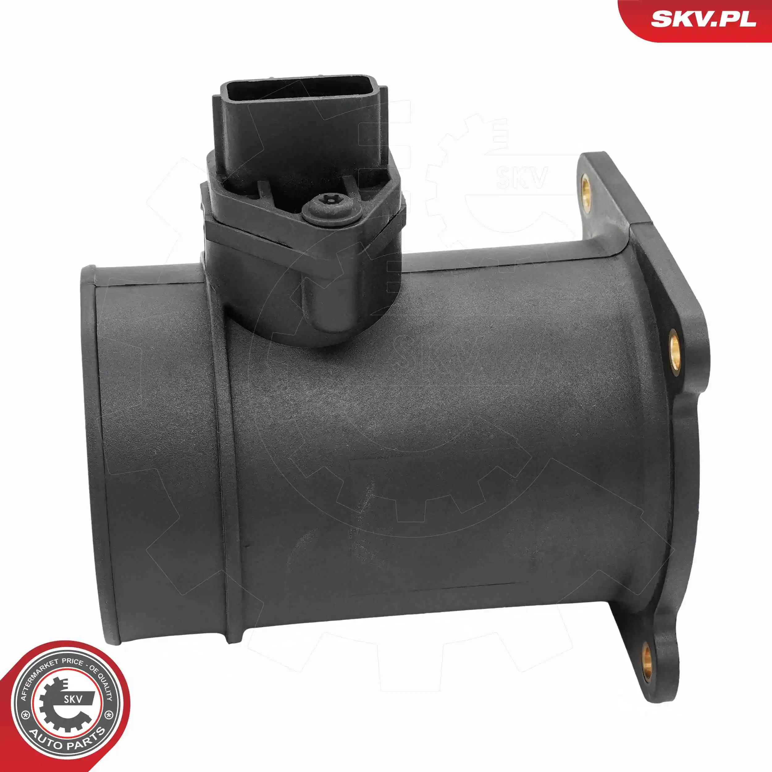 Mass Air Flow Sensor 07SKV318