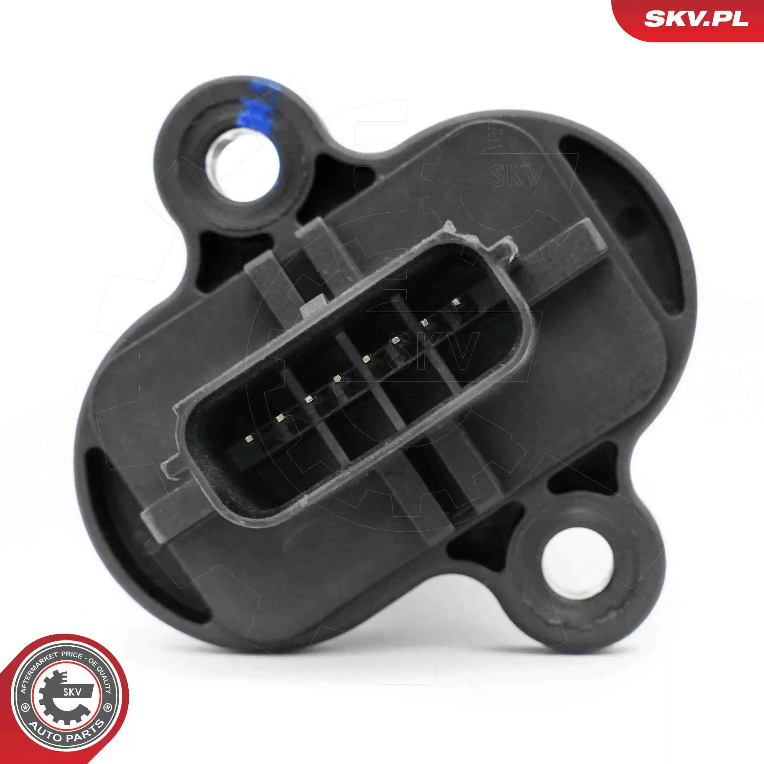 Mass Air Flow Sensor 07SKV246