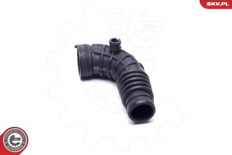 Intake Hose, air filter 43SKV929