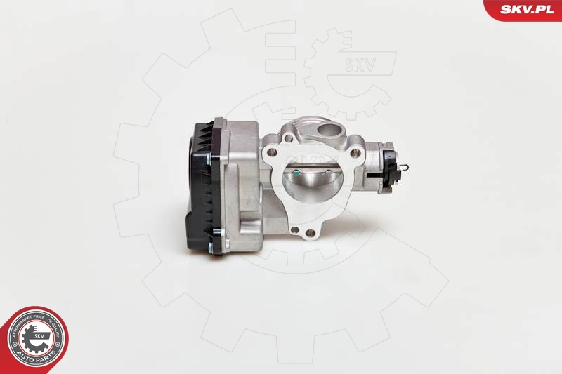 Throttle Body 12SKV031