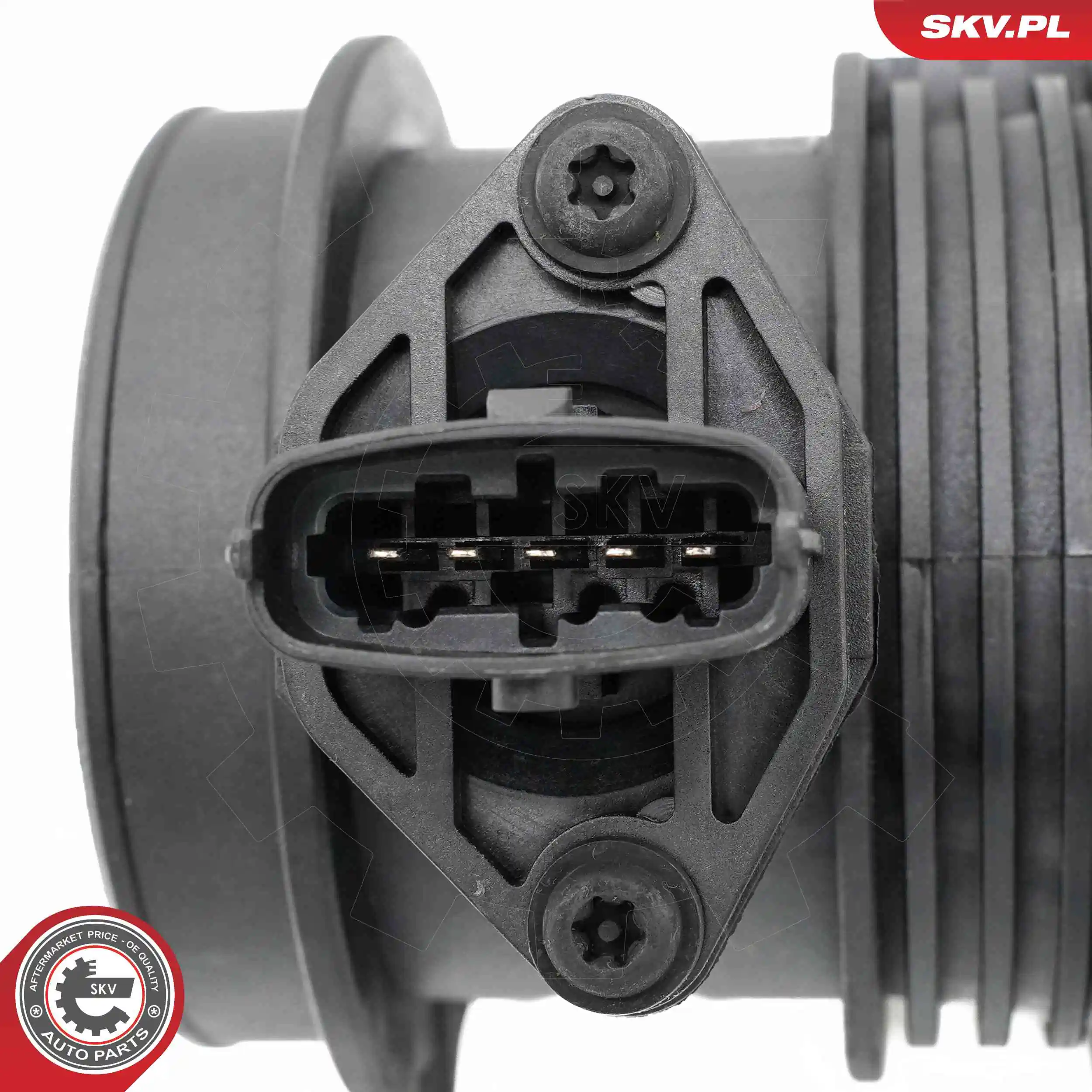 Mass Air Flow Sensor 07SKV296