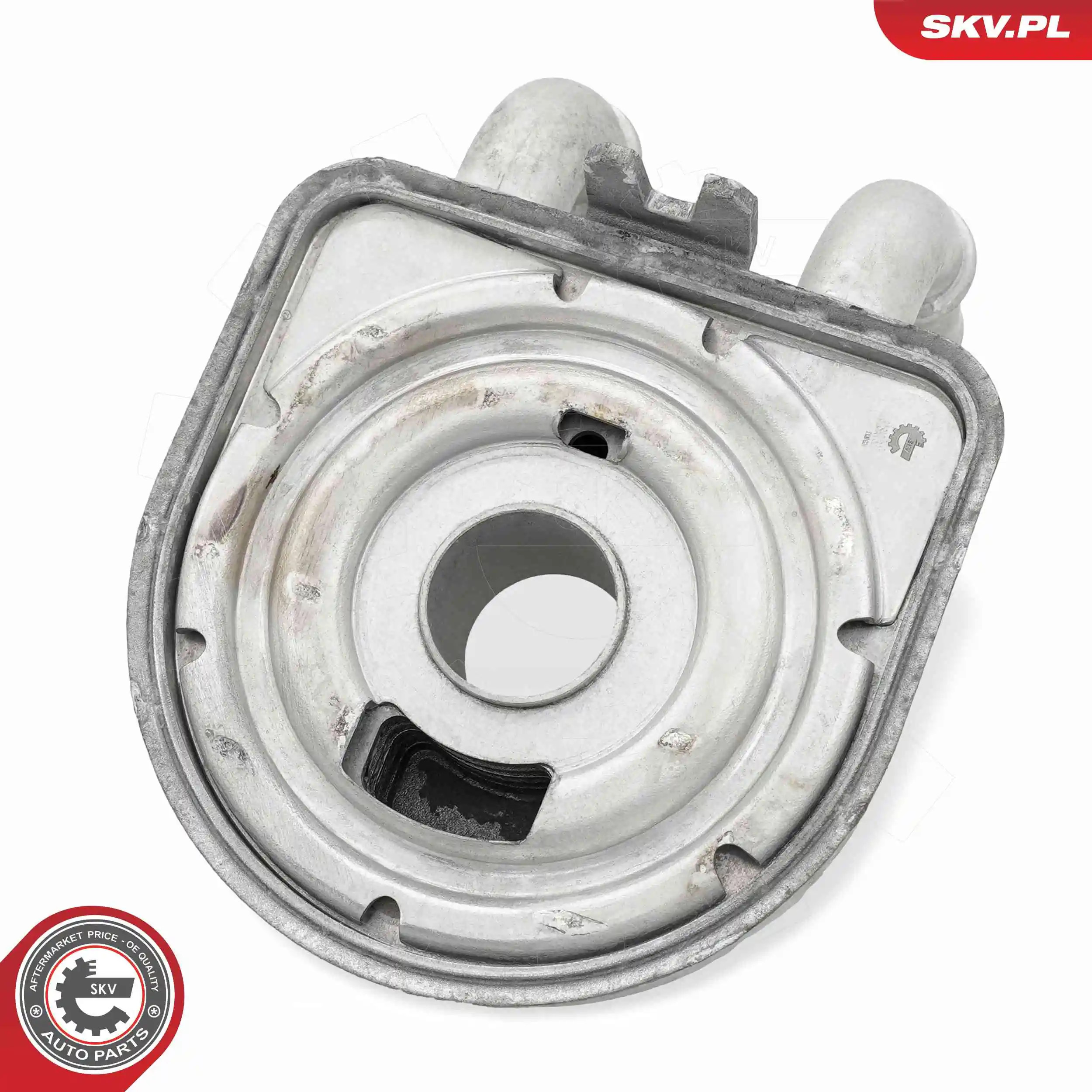 Oil Cooler, engine oil 31SKV307