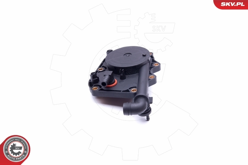 Repair Kit, crankcase ventilation 31SKV100