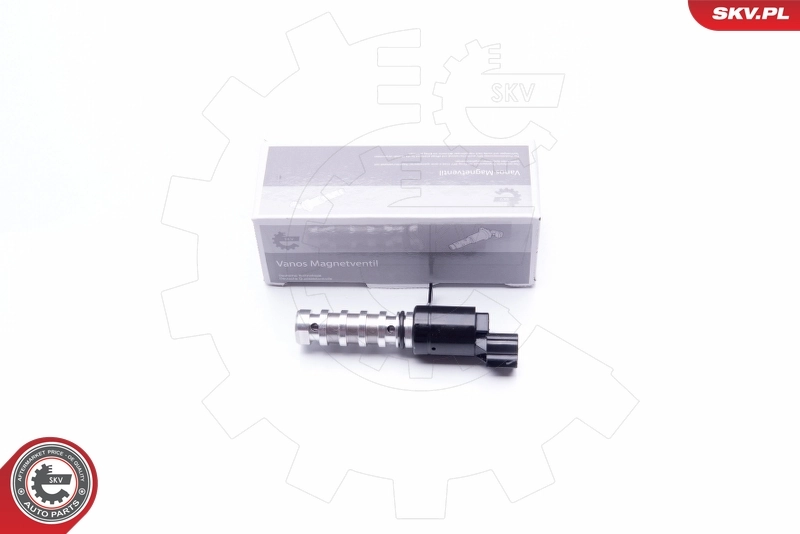 Control Valve, camshaft adjustment 39SKV021